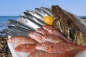 Poissonerie Fruits de Mer Libourne