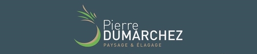 Paysagiste Elagage Libourne Pierre Dumarchez