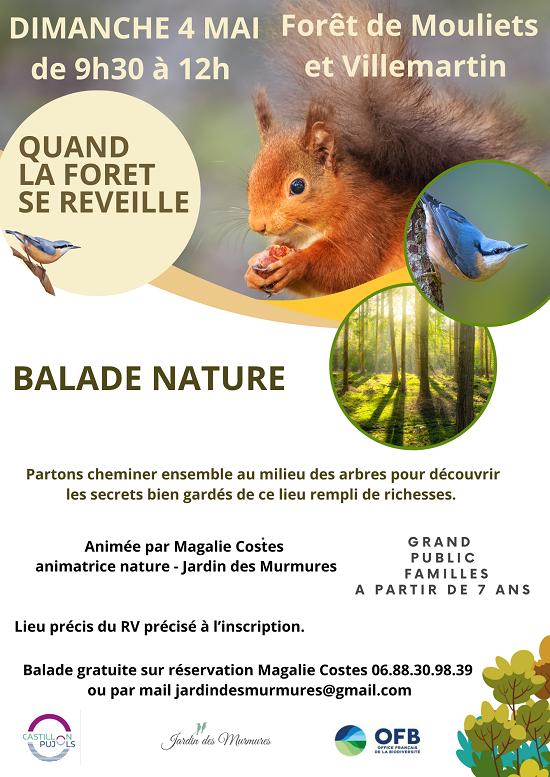 AFFICHE BALADE quand la foret se reveille