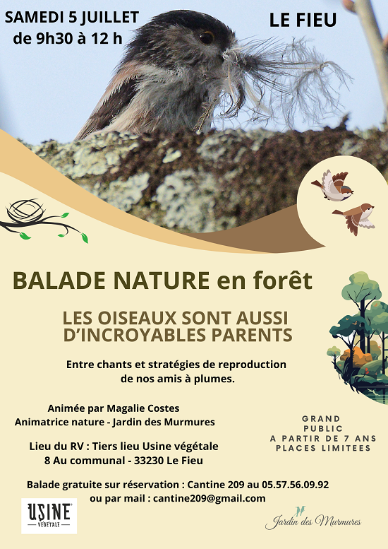 Balade nature Les oiseaux incroyables parents Le Fieu