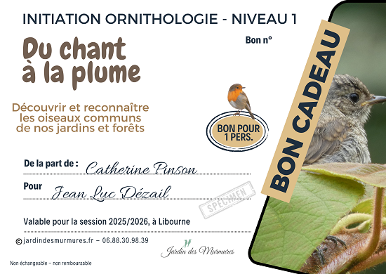 BON CADEAU_exemple