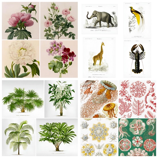 Reproduction d'illustrations et de gravures anciennes - Vêtements et objets imprimés originaux