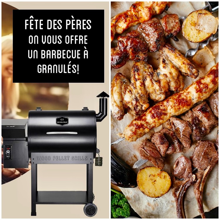 vente poele a bois granules libourne