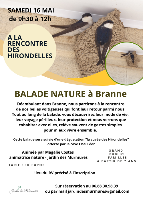 affiche balade Hirondelles Branne 16.05.26