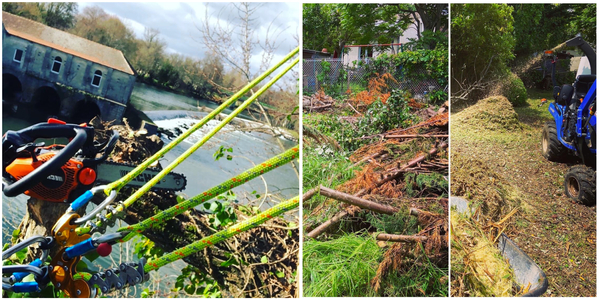 elagage et taille arbre haies libounais saint emilionnais saint denis de pile coutras